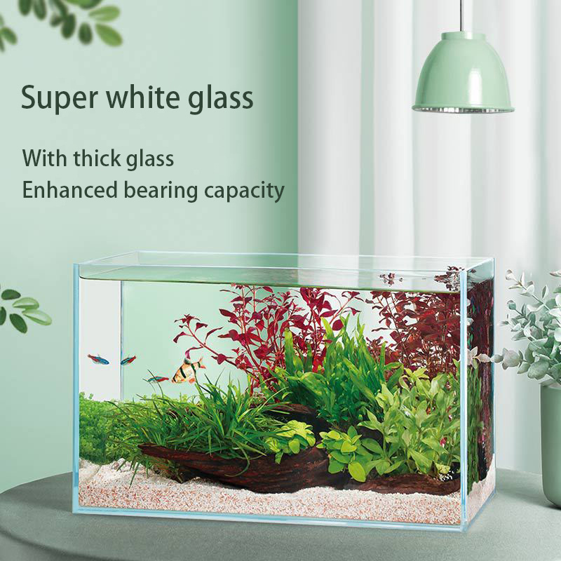 Aquarium Fish Tank Sets 2023 Hot Sizes Various Models Curved Glass Health Rectangle Ultra Clear Glass Aquarium 4PCS