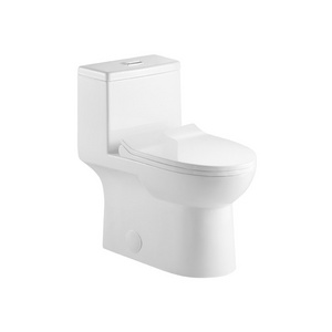 American standard UPC luxury wash down one piece toilet