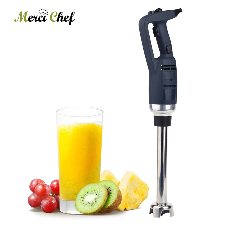 GZKITCHEN Commercial Kitchen Handheld Blender Immersion Mixer Electric Mixer Juicer Food Processor IT500+200mm Stir Stick