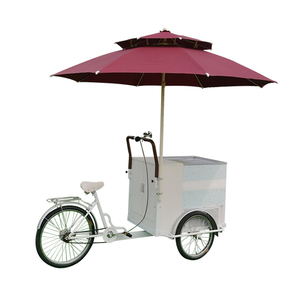 Hot Sell Refrigerated Bike With 220v Ac Freezer Electric Ice Cream Motor Tricycle Three Wheeler Commercial Bicycle Food Cart