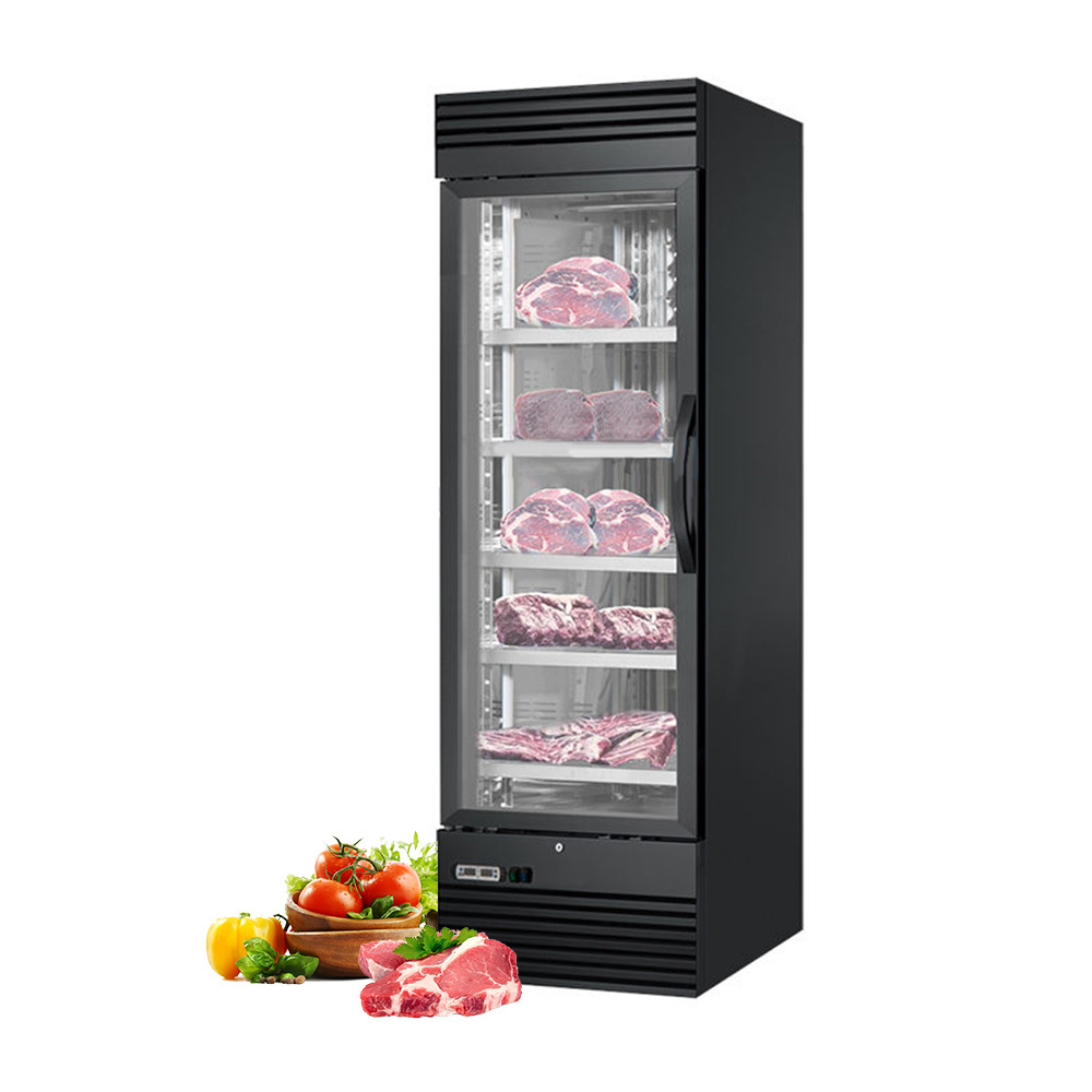 Commercial Salami Cheese Meat Beef Steak Storage Dry Age Curing Chamber Fridge Refrigerator Cabinets WIth Imported compressor