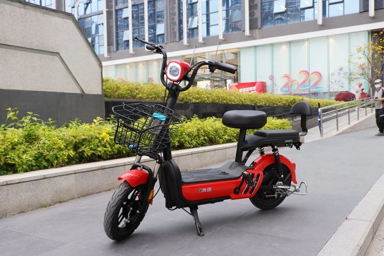 Special Hot Selling 2022 Adult 2 Seat Electric City Bike High Power Electric Bike