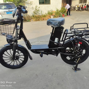 New Electric Cargo Delivery Bike 48V City Electric Brushless Hub Motor Ebike for Adult 20*3.0 Fat Ebike with Battery