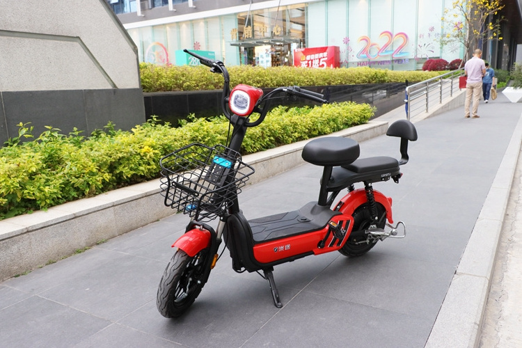 Special Hot Selling 2022 Adult 2 Seat Electric City Bike High Power Electric Bike