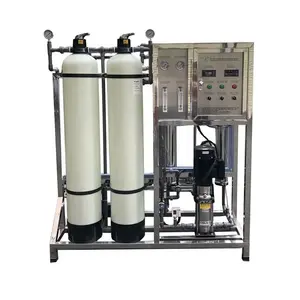 Hot Selling 250LPH Permeation Inversa System Ro Water Filtration Treatment Equipment Plant Osmosis Inversa System Industrial