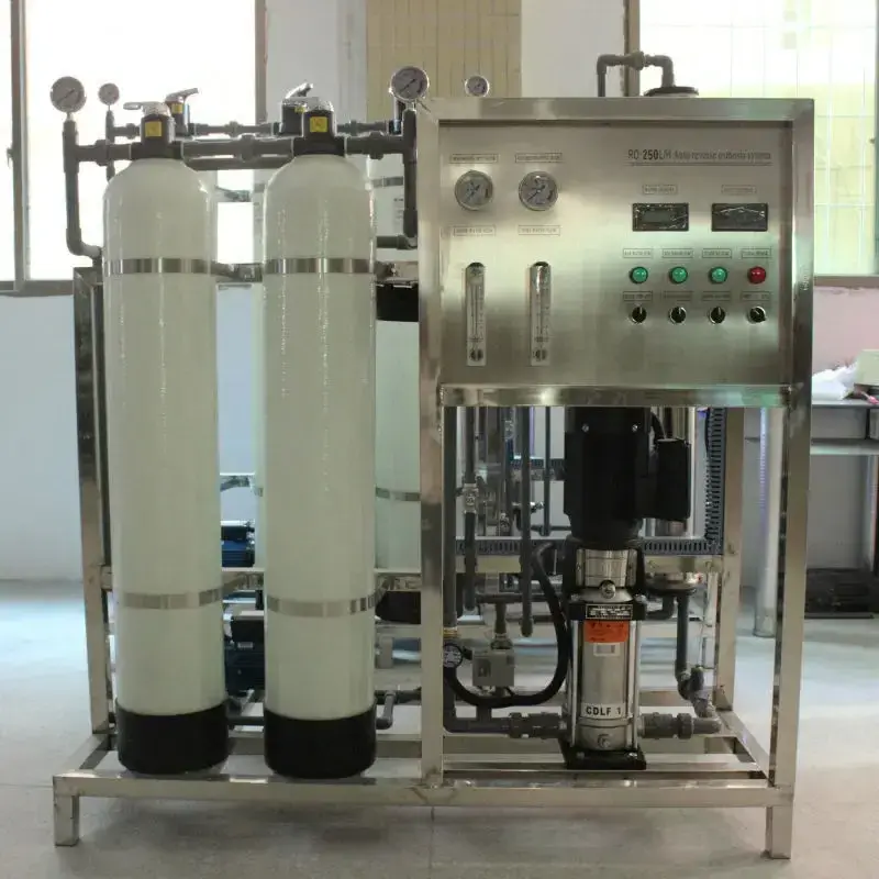 Hot Selling 250LPH Permeation Inversa System Ro Water Filtration Treatment Equipment Plant Osmosis Inversa System Industrial