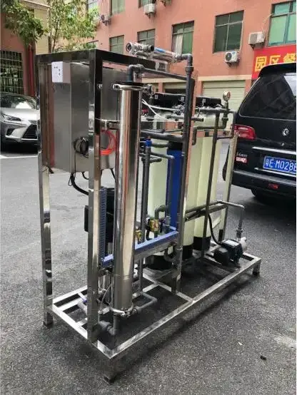 Hot Selling 250LPH Permeation Inversa System Ro Water Filtration Treatment Equipment Plant Osmosis Inversa System Industrial