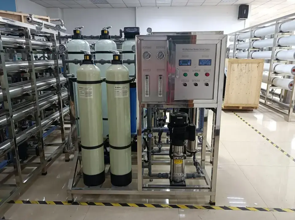 Hot Selling 250LPH Permeation Inversa System Ro Water Filtration Treatment Equipment Plant Osmosis Inversa System Industrial