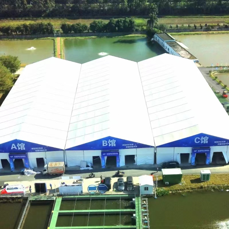 Langrun Tent Project Aquatic Products Expo Tent Aluminum Frame A Shape Big Outdoor Carpas Para Eventos Exhibition  Tent For Sale