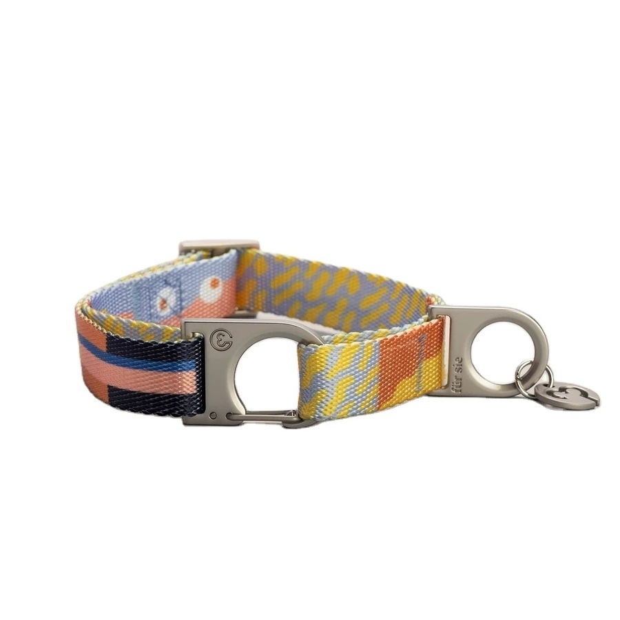 2024 New Products Custom Shiny Polyester Printed Breakaway Dog Collar