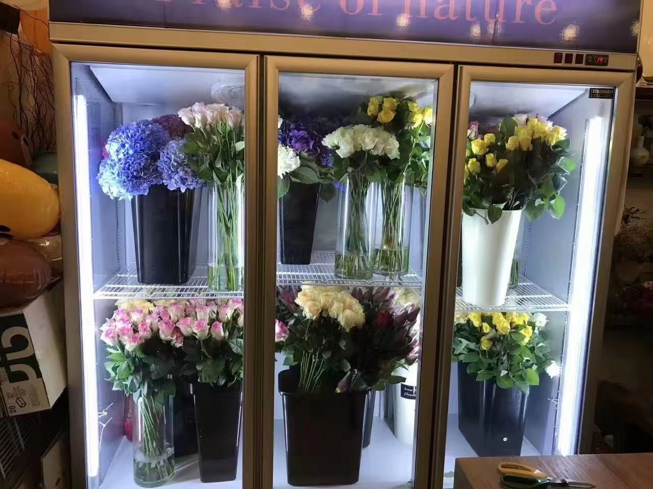 flower fridge display chiller stand cooler