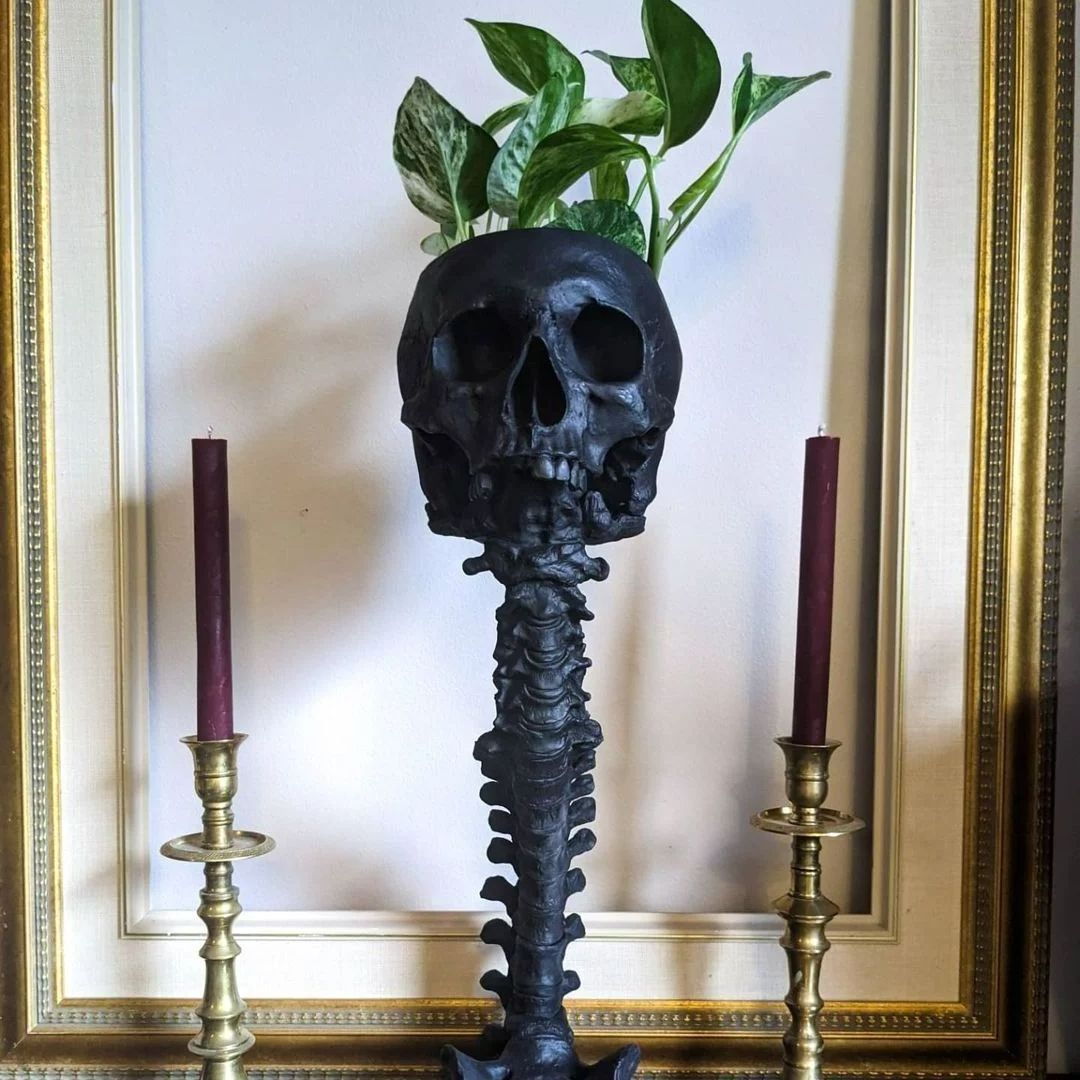 Spine Stand Skull Head Flowerpots Gothic Home Decor Spooky Skeleton Cactus Succulent Plant Pots Indoor Tabletop Planter Ornament