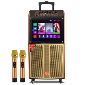 Karaoke players For family KTV Trolley speaker with screen / wireless MIC