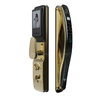 Tuya WiFi Electronic Digital Door Lock Code Card Phone Fingerprint Face Recognition Aluminum Gold Smart Door Lock with Camera