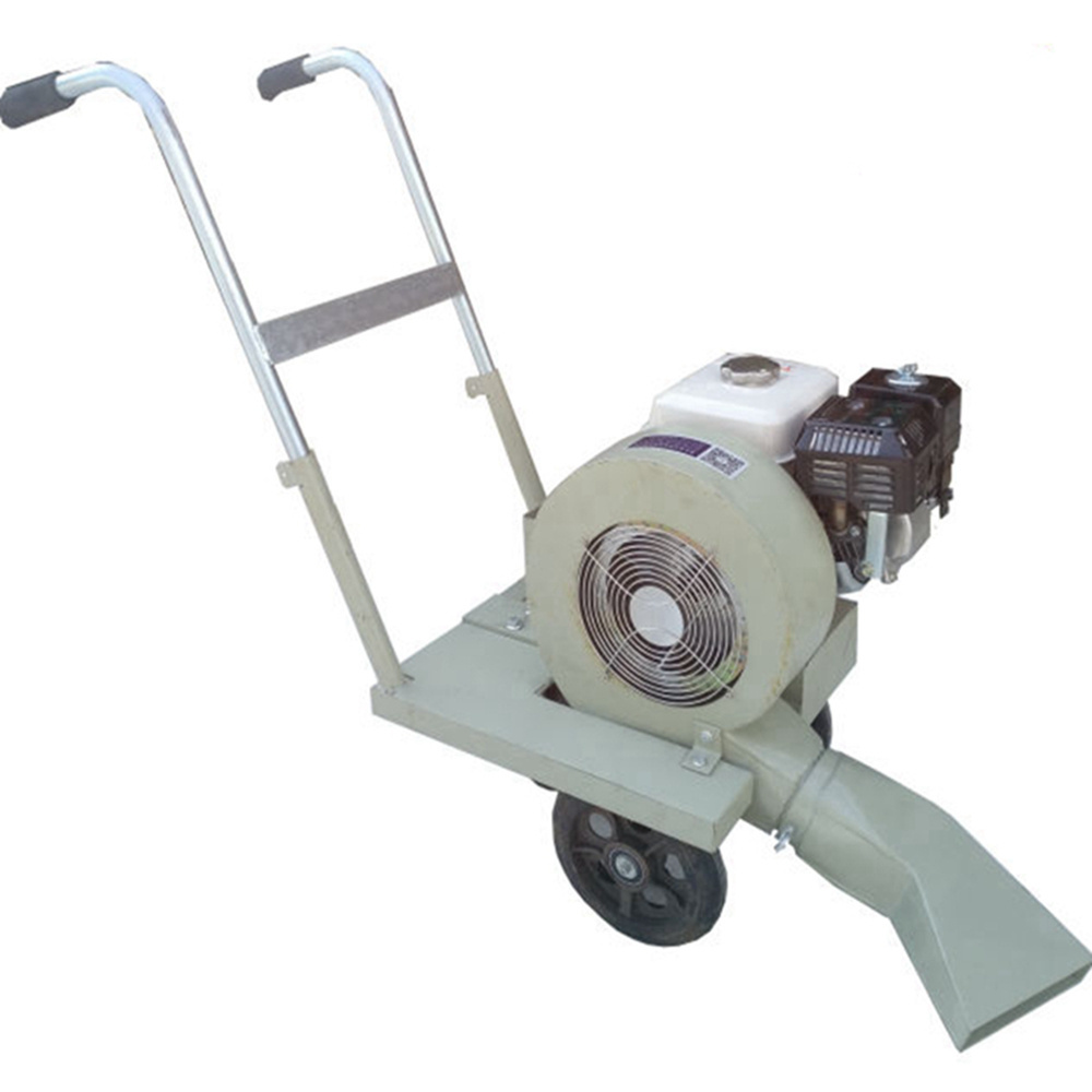 The Road Surface Dust Blowing Machine