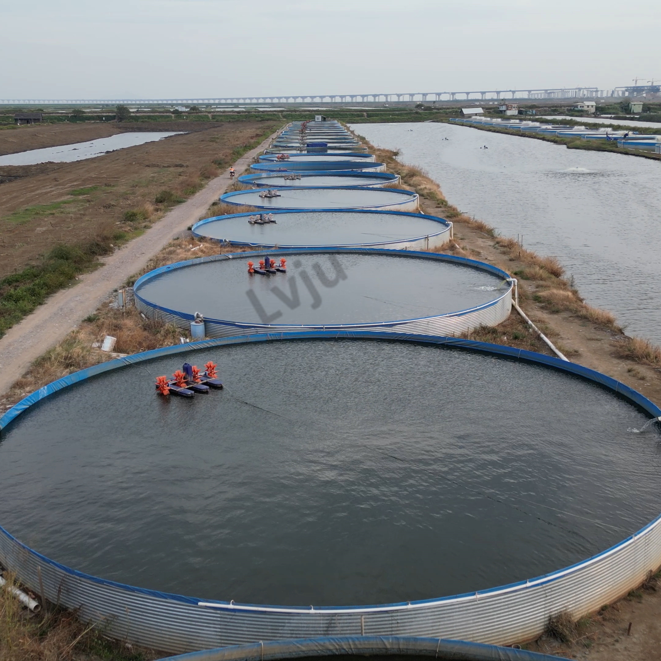 Guangzhou Supplier LVJU Biofloc Aquaculture Shrimp Fish Farming Tank For Aquaculture