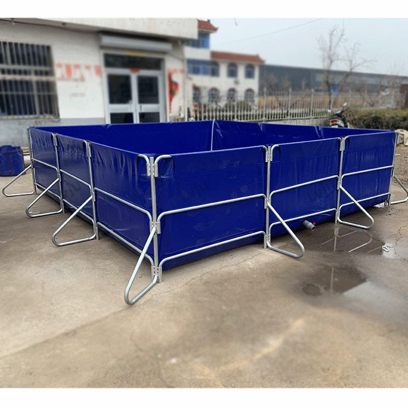 Guangzhou LVJU Super Quality Aquaculture Fish Tanks Above Ground Fish Pond