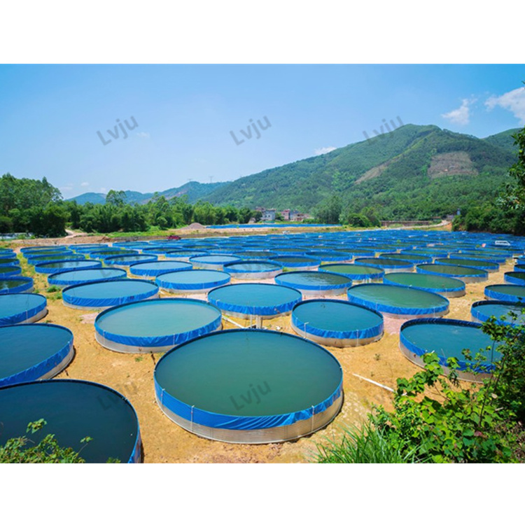 Lvju 10000 Liter Aquaculture Tank Commercial Uv Sterlizer Fish Tank For Aquaculture