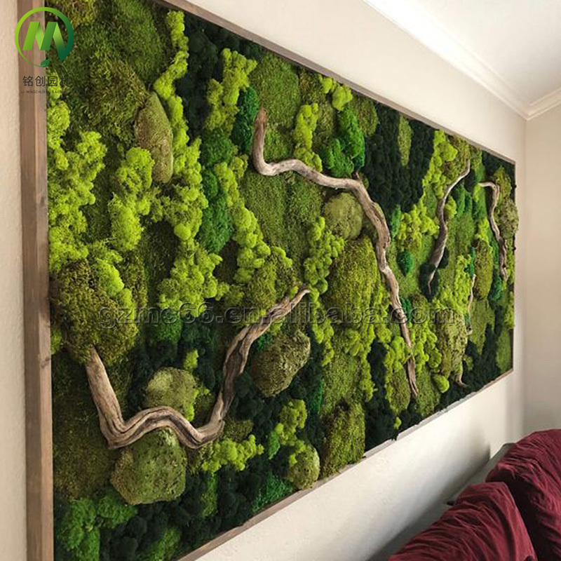 Forever Preservative Moss Wall Art Home Decor Moss Wall Panel Customized Size Green Real Natural Preserved Moss Wall