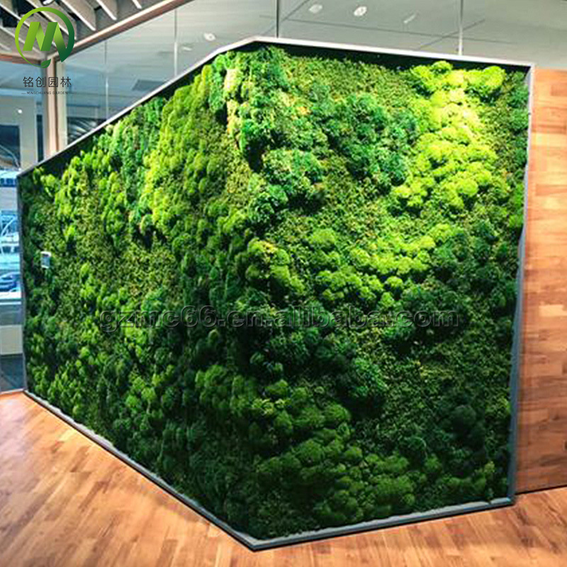 Forever Preservative Moss Wall Art Home Decor Moss Wall Panel Customized Size Green Real Natural Preserved Moss Wall