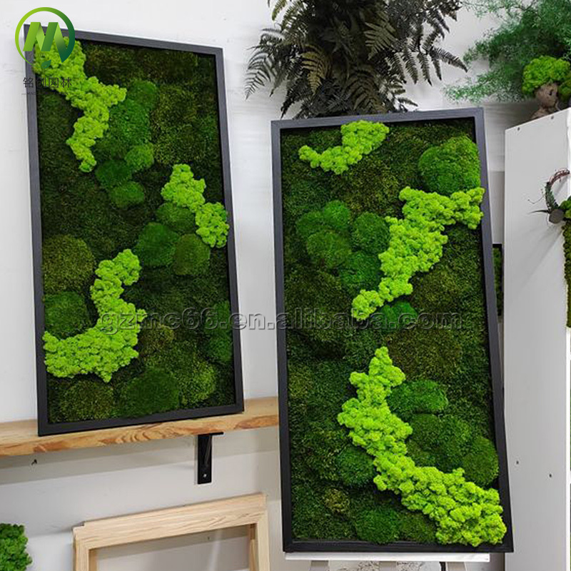 Forever Preservative Moss Wall Art Home Decor Moss Wall Panel Customized Size Green Real Natural Preserved Moss Wall