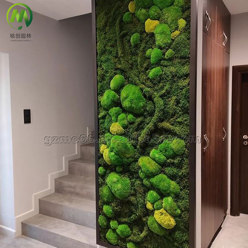 Forever Preservative Moss Wall Art Home Decor Moss Wall Panel Customized Size Green Real Natural Preserved Moss Wall