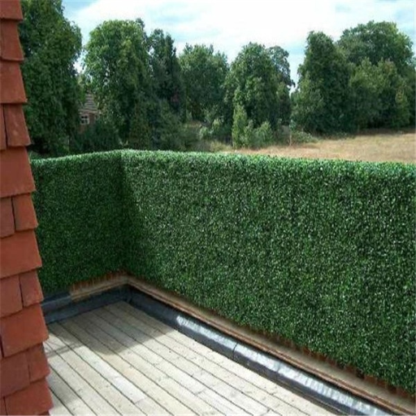 Wholesale outdoor artificial plastic green wall fence   artificial boxwood hedge decorative in Black Planter