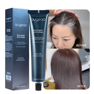 Italian Quality professional permanent cream Hair Color Brands Low Ammonia PPD Free Hair Coloring