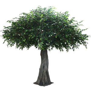 Simulated Virtual Banyan tree Plant Garden Bonsai Realistic artificial Banyan tree