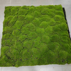 Hot 3D Artificial Moss Grass Wall Art Plastic Plant Panels for Outdoor Lawn Decoration Flower Type