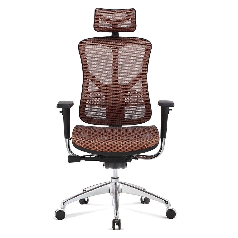 Guangzhou Factory ergonomic ball orthopaedic computer chair