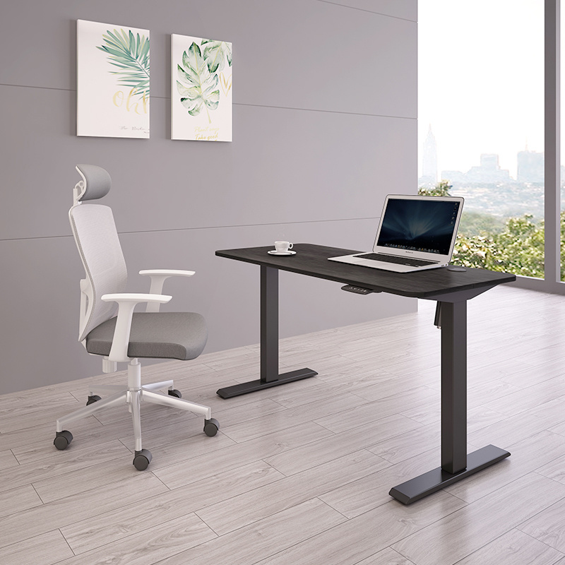 Cheap Easy To Install  Home Office Furniture Ergonomic Electric Height Adjustable Computer Table Lift Standing Desk