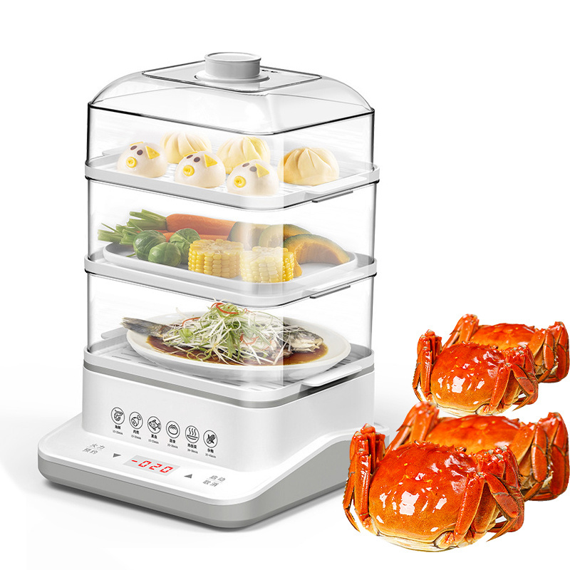 Home use 800w electric, food display steamer food steamer/