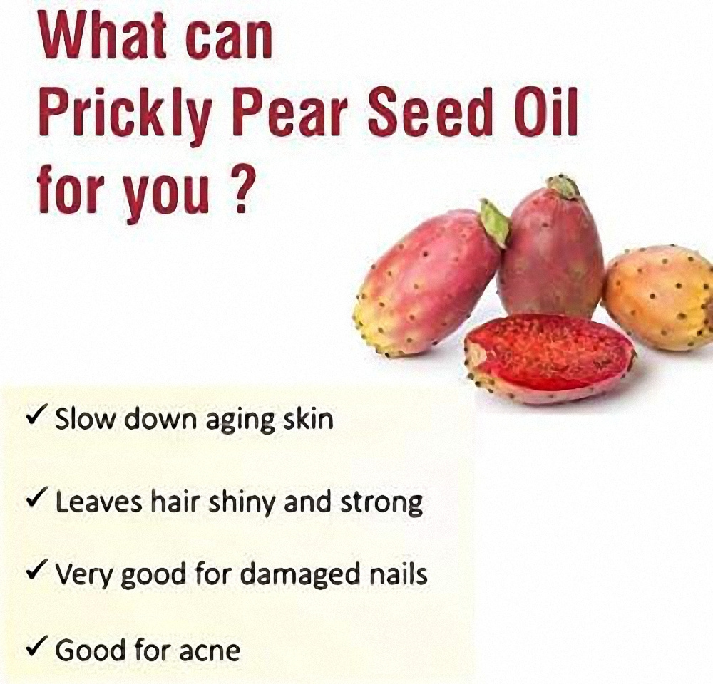 Private Label 100% Pure Organic Prickly Pear Seed Oil Extra Virgin Cold Pressed Barbary Fig Oil for Face, Body and Hair