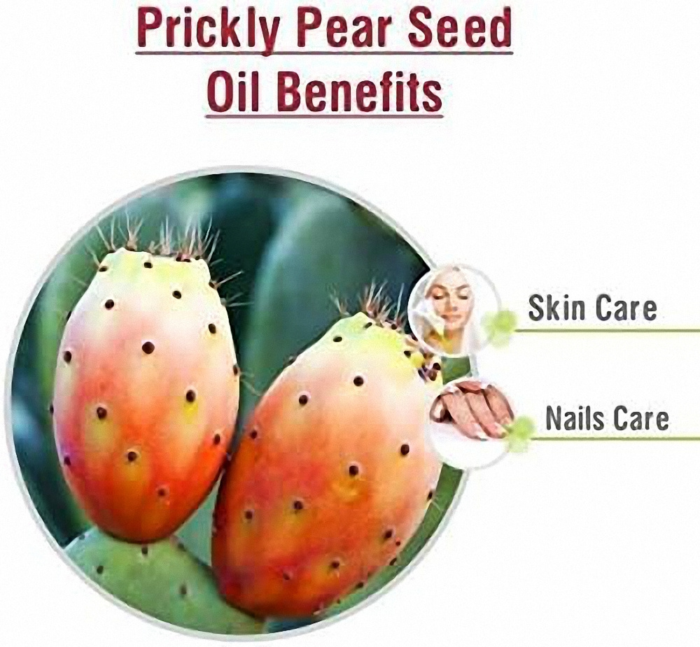 Private Label 100% Pure Organic Prickly Pear Seed Oil Extra Virgin Cold Pressed Barbary Fig Oil for Face, Body and Hair