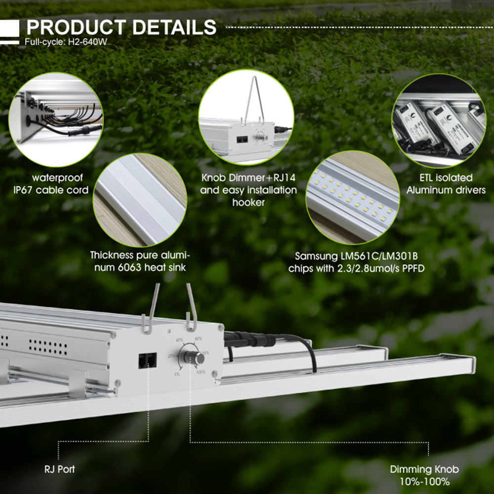 2022 led grow bar intertek Greenhouse indoor growing led grow light intertek lighting 1000W spectrum