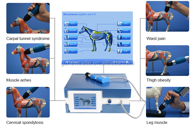 physical dog animals pain relief medical horse vibrating masajeador pistola fisioterapia ondas de choque fisioterapia para dolor