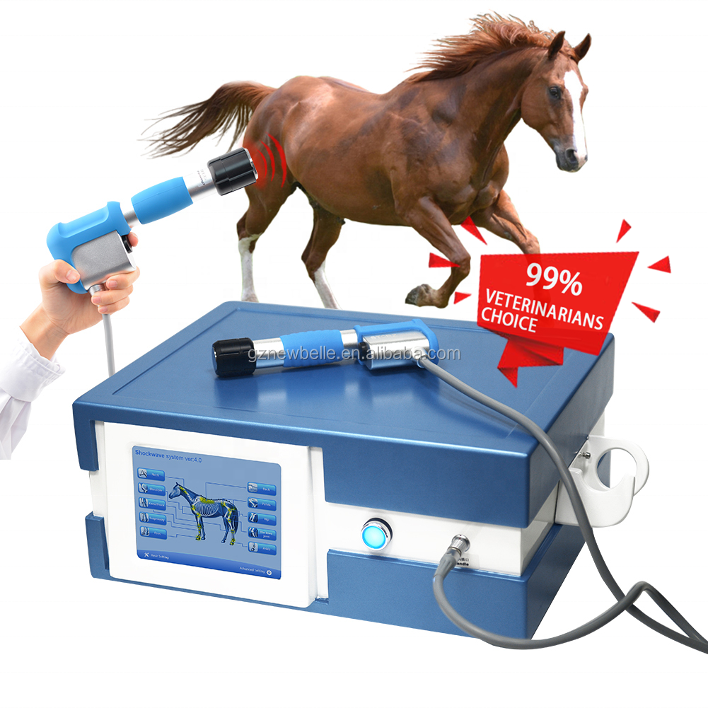 physical dog animals pain relief medical horse vibrating masajeador pistola fisioterapia ondas de choque fisioterapia para dolor