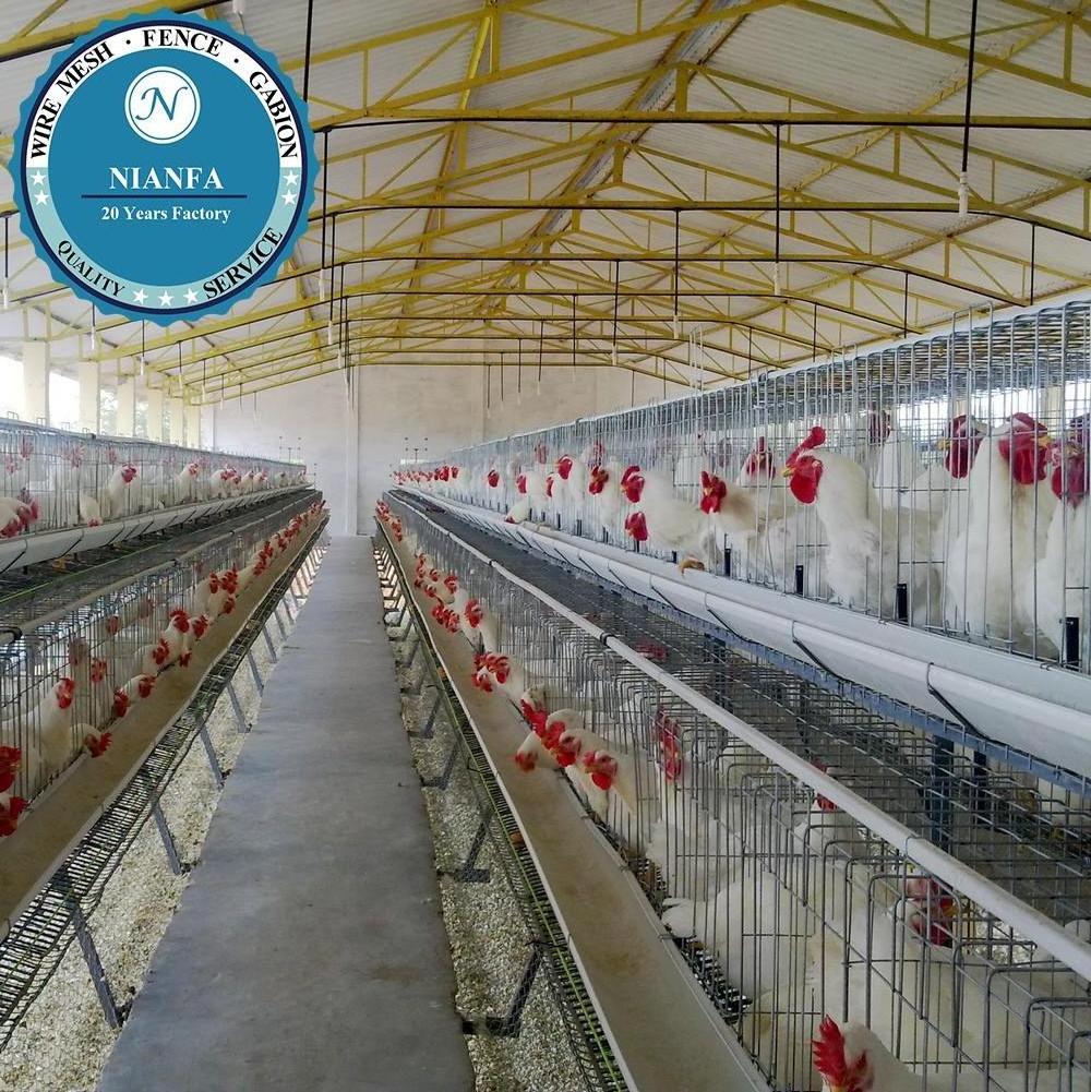 Australia Battery Cages Laying Hens/used poultry laying hen cages for sale(Guangzhou Factory)