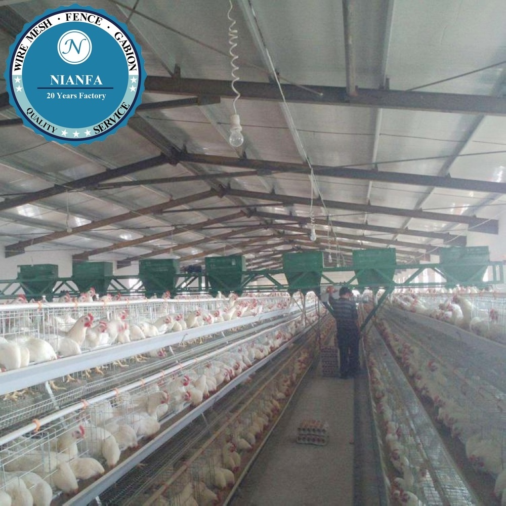 guangzhou factory Zambia hens usage poultry chicken cage