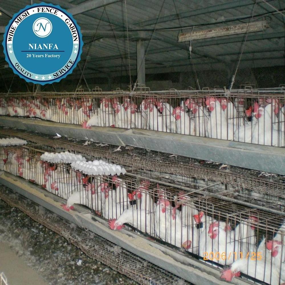 Australia Battery Cages Laying Hens/used poultry laying hen cages for sale(Guangzhou Factory)