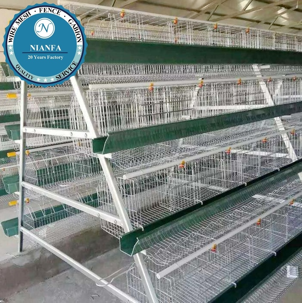 guangzhou factory Zambia hens usage poultry chicken cage