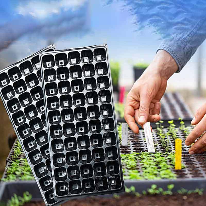 QXY1309 plastic germination seed tray Cells Seed nursery Plant Germination Vegetables Flower Growing Tray Garden seedling tray