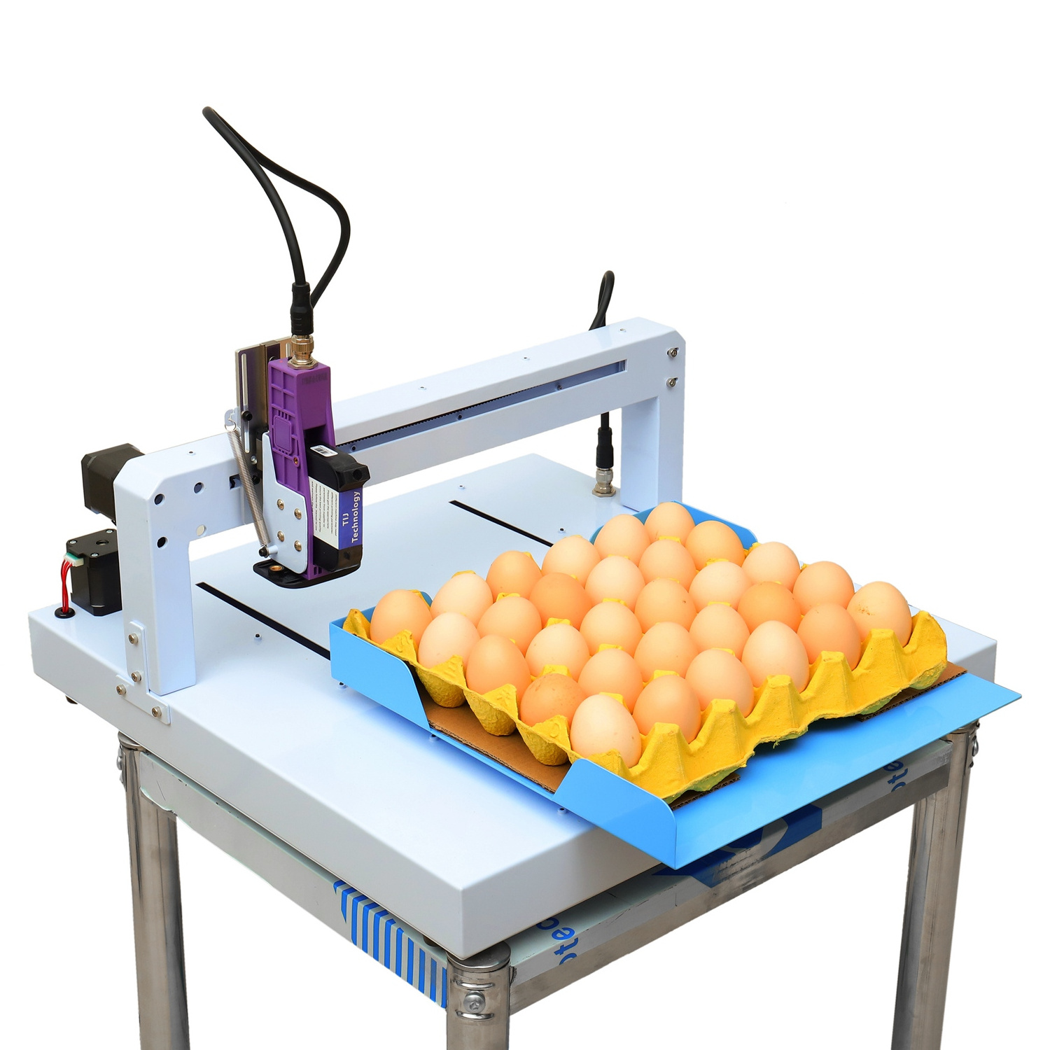 2024 New egg date printer portable smart egg printing machine expiry date printer for egg tij