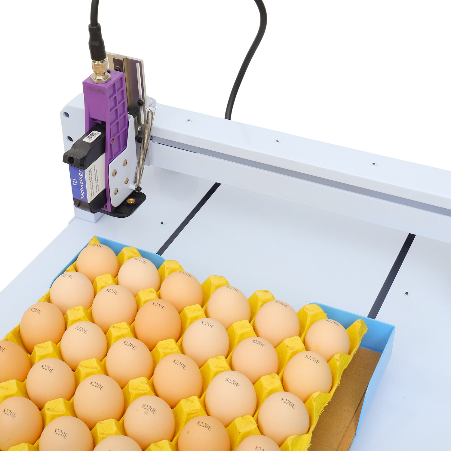 2024 New egg date printer portable smart egg printing machine expiry date printer for egg tij