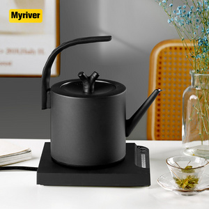 Myriver Modern Style 350Ml 600Ml Sliver Black Gooseneck Stainless Steel Coffee Sharing Electric Pot Kettle