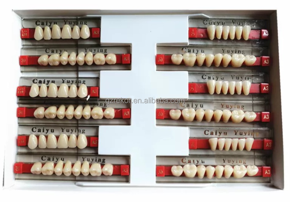 Dental Acrylic Resin False Teeth a1 a2 a3 Polymer Denture Economical Tooth Dentistry Materials Shade Synthetic Denture