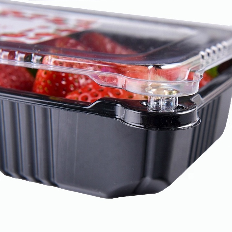 Clear Fruit Punnet Disposable PET Plastic Strawberry Clamshell Packaging Box