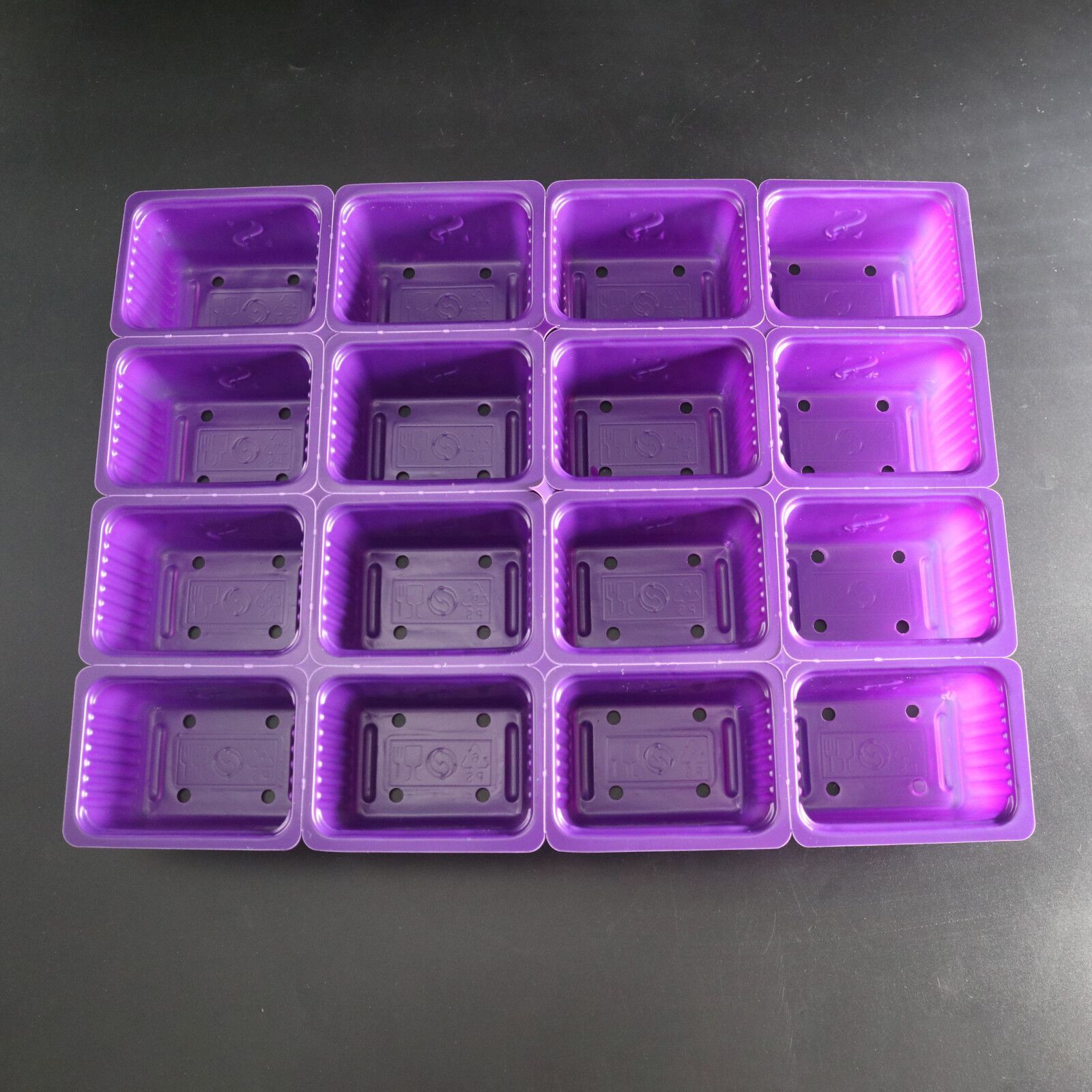 Plastic Purple 16 Cell Seed Nursery Plug Trays Seedlings Tray Greenhouse Hydroponic Growing Trays