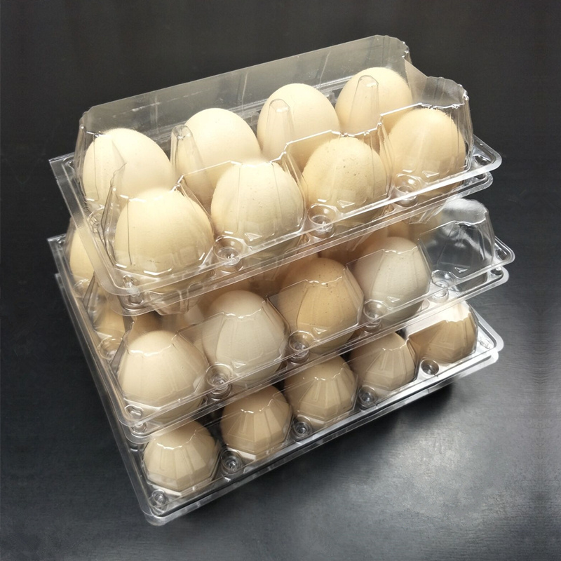 Customized transparent 6 holes popular portable egg tray box plastic mold clamshell packaging